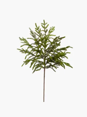33" Norfolk Pine Spray