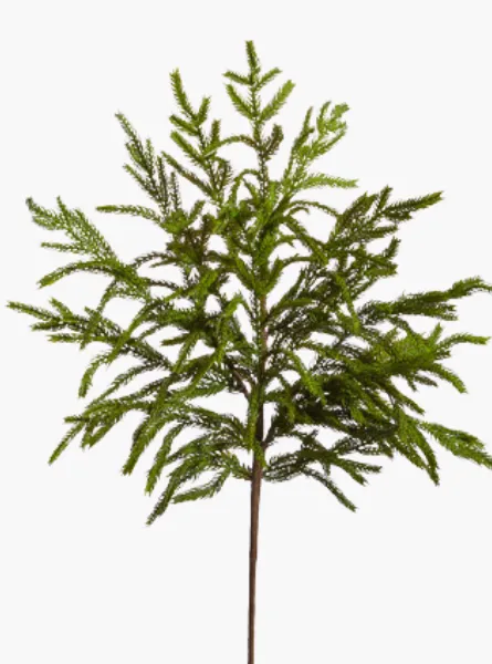 33" Norfolk Pine Spray