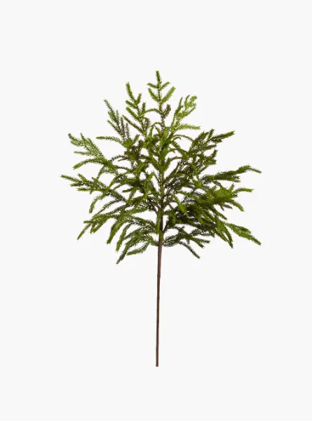 33" Norfolk Pine Spray