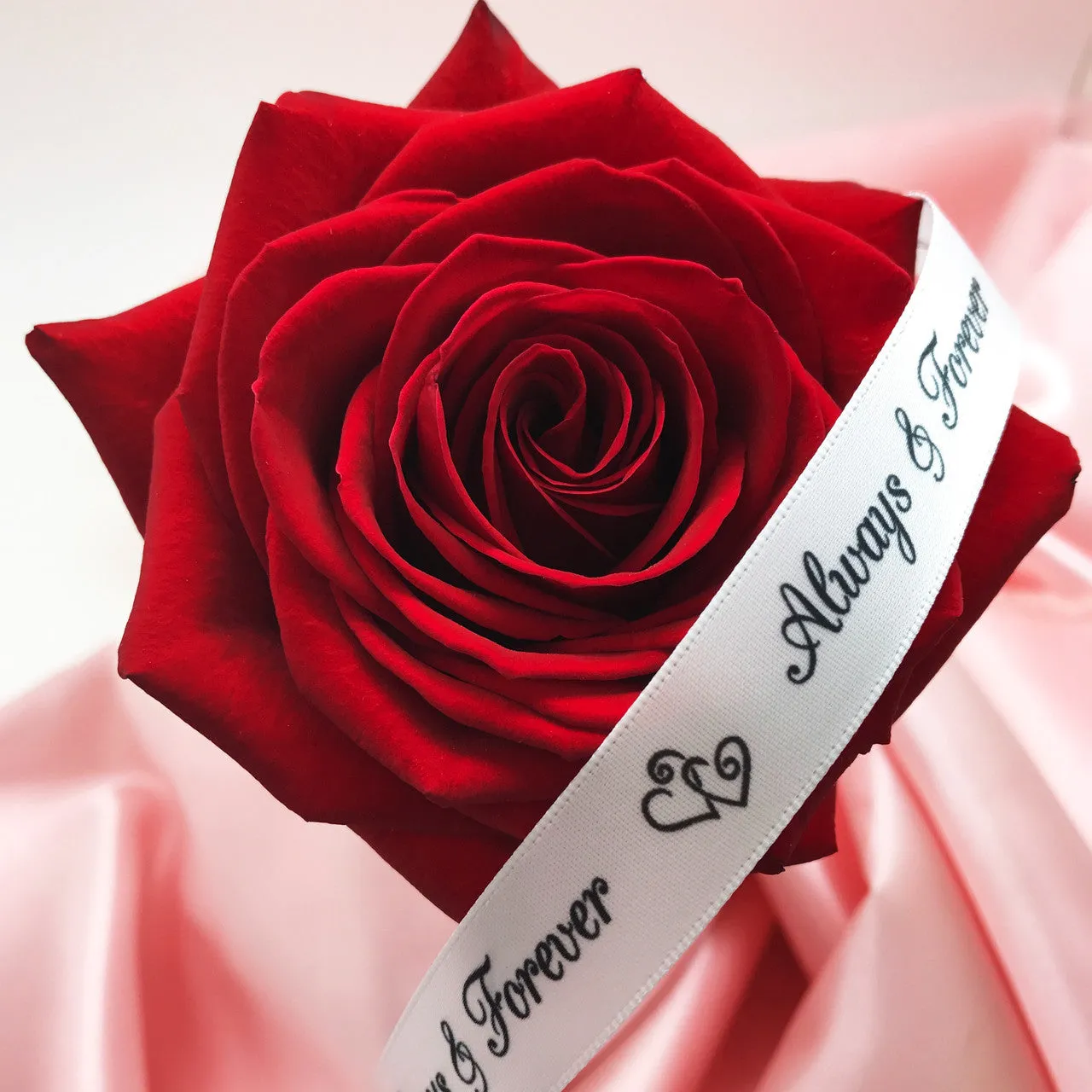 Always & Forever Ribbon,  black script on 5/8" white single face satin
