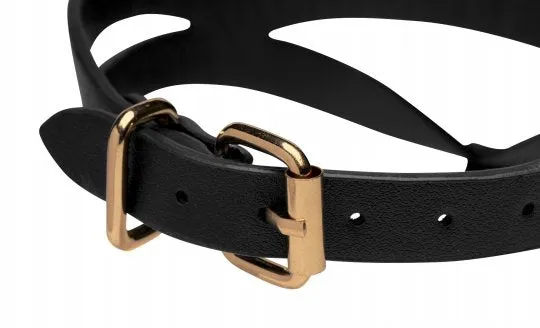 Black and Gold Collar and Leash Set