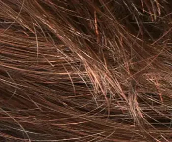 Estate Mono wig - Ellen Wille Hairpower Collection